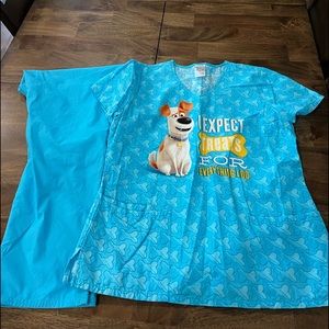 Secret Life of Pets with Scrubstar pants